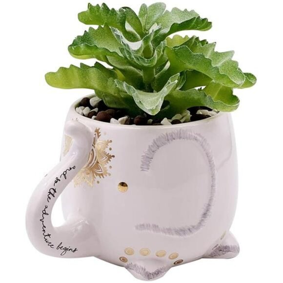 Artificial Succulent with Planter Pot and Ceramic Planter Pot - Picture 1 of 7